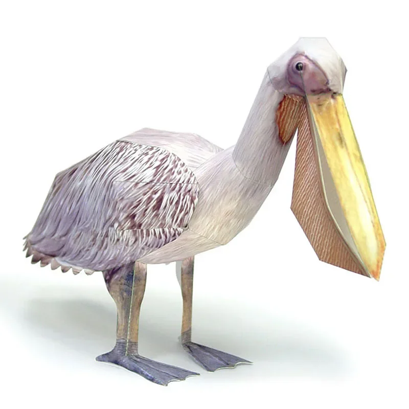 Art Craft Cardboard - Wielki Biały Pelikan Ptak Model Papierowy