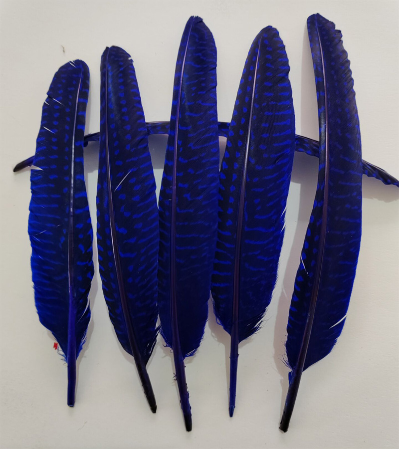 Pióra! 100 sztuk/partia! 14-20 – Art Quilling Craft recenzja i cena