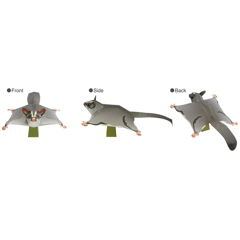 Sugar Glider Flying Mouse Hand – Art Craft Cardboard recenzja i cena