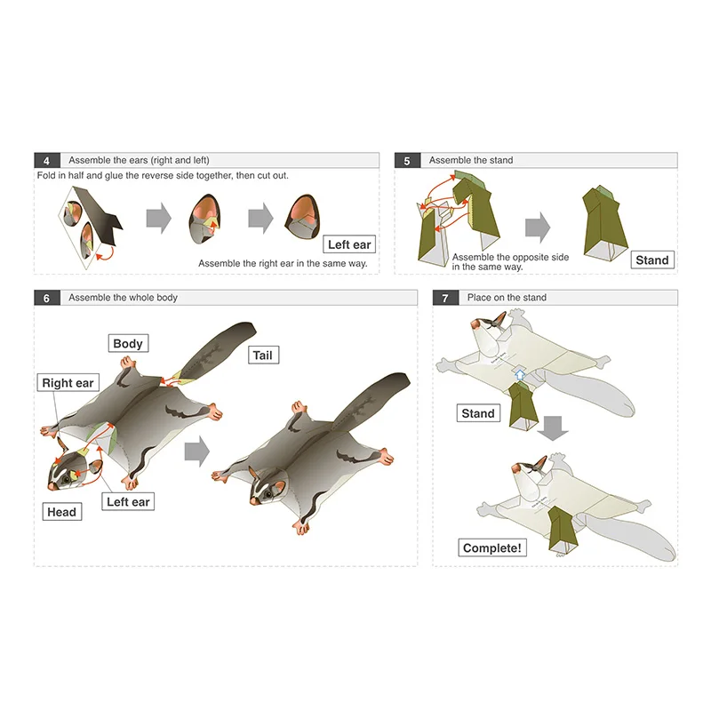 Sugar Glider Flying Mouse Hand – Art Craft Cardboard recenzja i cena